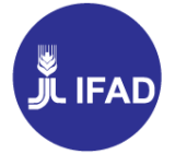 IFAD Logo