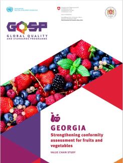 Georgia: Value chain report