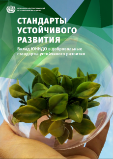 VSS Brochure