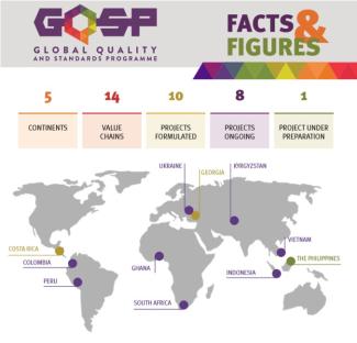 Global Quality and Standards Programme active in 11 countries worldwide