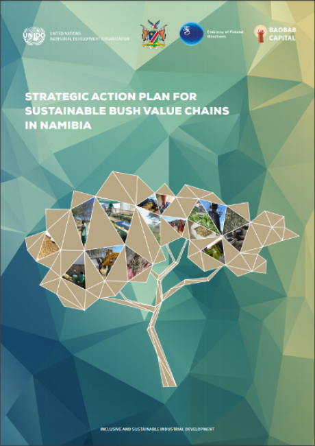 Strategic Action Plan for Sustainable Bush Value Chains in Namibia